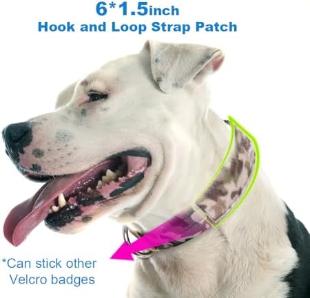TSPRO Heavy-Duty Tactical Dog Collar with Patch, Large & Extra Large Dogs