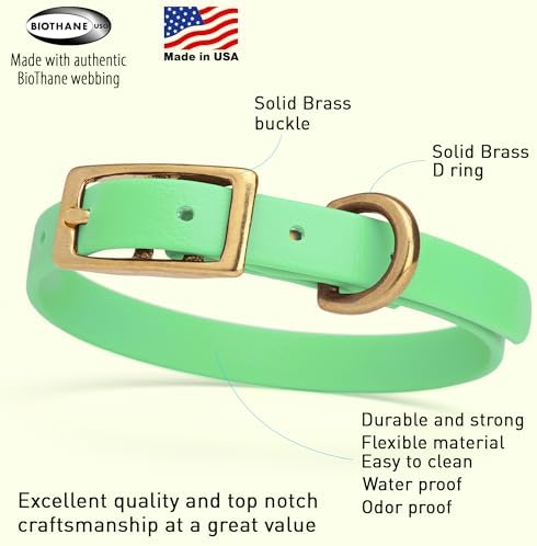 Viper Biothane Heavy Duty Waterproof Dog Collar Strong Coated Nylon Webbing w/Solid Brass Hardware Odor-Proof for Easy Care to Clean High Performance Fits Small Medium or Large Dogs, Sea Foam Green
