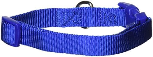 Zack & Zoey ⅝" Wide Nylon Dog Collar, Fits Necks 10" to 16", Nautical Blue