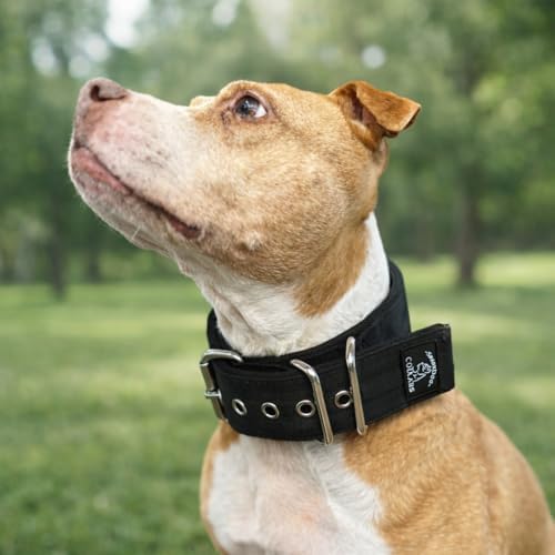 SparkDog 2" Padded Working Dog Collar (Lime Green, 2" Padded (16-21" Neck)