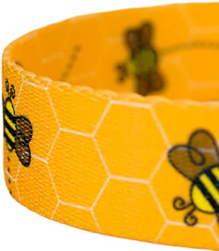 Country Brook Petz - Busy Bee Everyday Dog Leash - Summer Breeze Collection Featuring Sunny Designs (4 Foot, 1/2 Inch Wide)