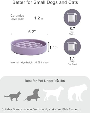 Ceramic Slow Feeder Dog Bowl, Purple, Small