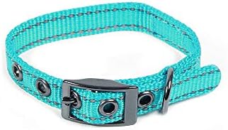 Max and Neo MAX Reflective Metal Buckle Dog Collar - We Donate a Collar to a Dog Rescue for Every Collar Sold (X-Small, Teal)