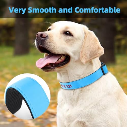 Kuley Personalized Dog Collar, Embroidered with Pet Name and Phone Number