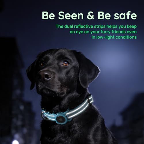 Airtag Dog Collar for Small Dogs, Reflective Dog Collar with Airtag Holder