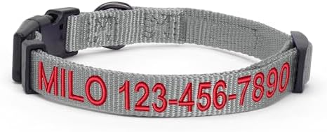 Pawtitas Personalized Large Dog Collar - Embroidered with Name & Phone Number - Adjustable, Customized for Large Dogs & Puppies - Grey