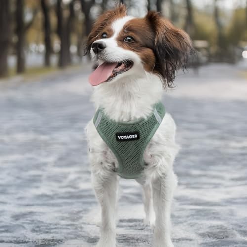 Best Pet Supplies - All Weather Mesh/Plush, Reflective, No Pull Harness for Small, Medium Dogs, Cats - Secure with Hook & Loop Fastener, Buckle, Double D-Rings - Moss Green, S