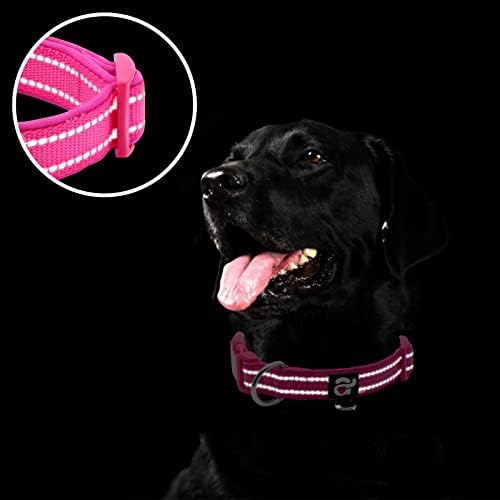 azuza Reflective Dog Collar, Neoprene Padded Large Dog Collar, Hot Pink, L