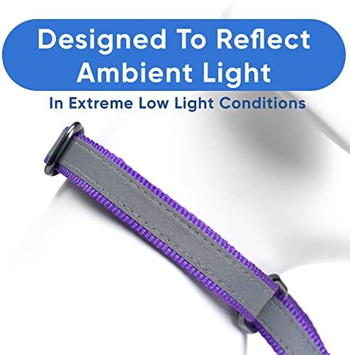 Pawtitas Personalized Dog Collar Martingale Dog Collar with Name Phone Number Reflective Martingale Dog Collar Customized Collar for Small Dogs | Purple Custom Dog Collars for Small Dogs