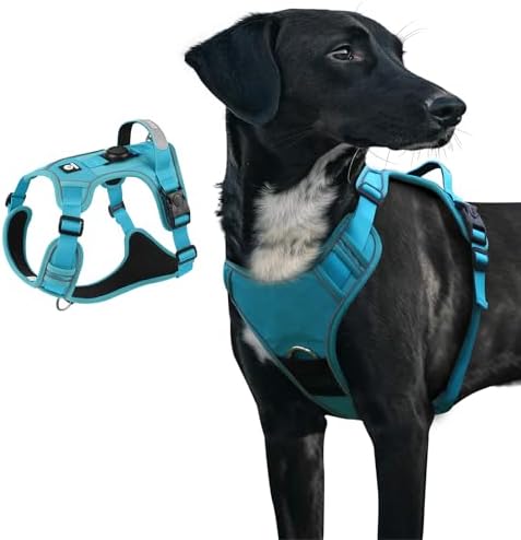 Dog Harness, Upgraded Escape Proof Adjustable Vest Puppy Outdoor Walking, Soft Breathable Jacket with Reflective Strips for Dark Night 559 (Blue, L)