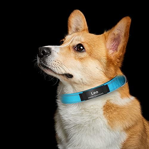 Personalized Reflective Dog Collars,Custom Engraved Stainless Steel Name Plate ID Collar Padded Pet Collar 4 Adjustable Sizes X-Small Small Medium Large (Black ID Tag)