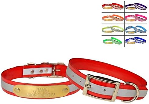 Reflective Dayglo Dog Collar Free Engraved Brass ID tag USA (Red 27")