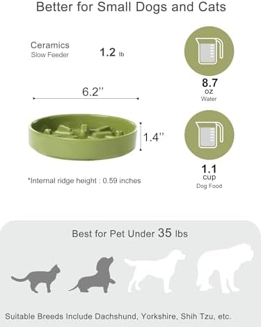 Ceramic Slow Feeder Dog Bowl, Green, Small