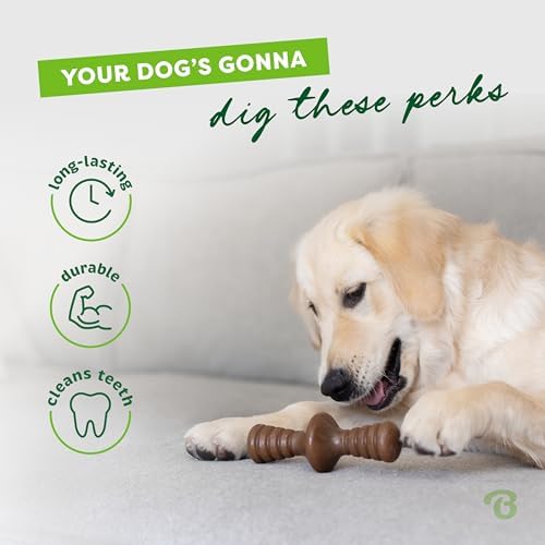 Benebone Zaggler Rolling Dog Chew Toy for Aggressive Chewers, Real Peanut, Made in USA, Medium