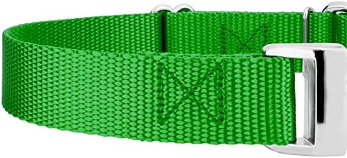 Country Brook Petz - Martingale Dog Collar - Heavy Duty Nylon Adjustable Martingale Dog Collar with Metal Buckle for Small Medium Large Breeds - 30+ Color Options (1 Inch, Large, Hot Lime Green)