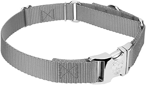 Country Brook Petz - Martingale Dog Collar - Heavy Duty Nylon Adjustable Martingale Dog Collar with Metal Buckle for Small Medium Large Breeds - 30+ Color Options (1 Inch, Extra Large, Silver)