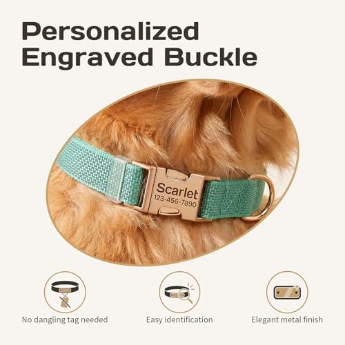 Custom Dog Collar with Name and Phone Number