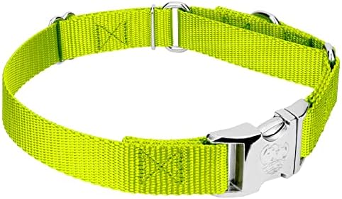 Country Brook Petz - Martingale Dog Collar - Heavy Duty Nylon Adjustable Martingale Dog Collar with Metal Buckle for Small Medium Large Breeds - 30+ Color Options (5/8 Inch, Extra Small, Hot Yellow)