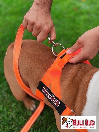BULLHUG 6 FT Bulldog Leash with Padded Handle. Perfect for Bulldogs, French Bulldogs, Pugs & All Breeds. Leashes for Walking, Training Lead for Bulldogs (NEON Orange)