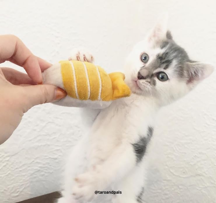 munchiecat Premium Organic Catnip Sushi Toy (1-pc) for Cats, Kittens - USA Made Durable Design for Pouncing, Batting and Play