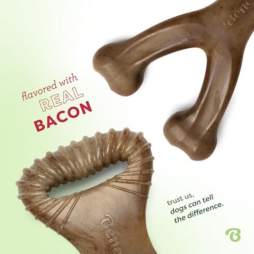 Benebone 2 Count (Pack of 1) Wishbone/Dental Durable Dog Chew Toys, Real Bacon, Made in USA, Small