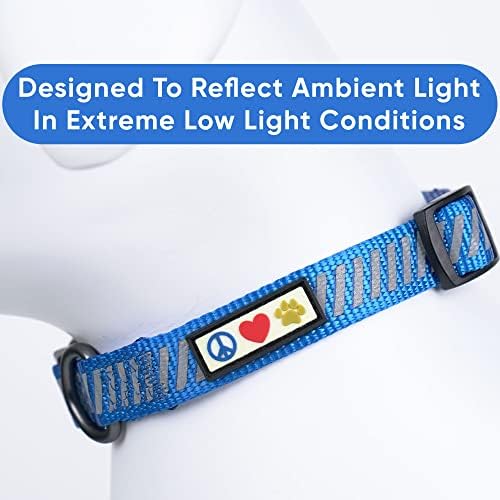 Pawtitas Reflective Dog Collar - Personalized Name & Phone Number Adjustable Nylon Collar for Small Dogs, Puppies, Extra Small Breeds - Blue
