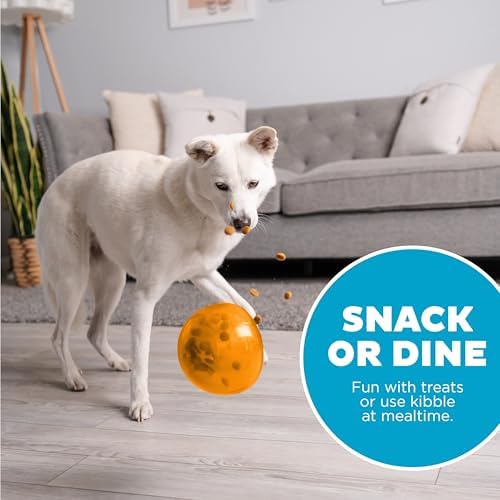 Outward Hound Snoop Interactive Treat Dispensing Dog Toy, Orange, 5"