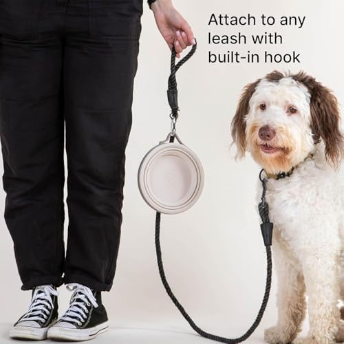 Cleverpup Nomad Large Collapsible Travel Dog Bowl - 4 Cup, Sand Silicone