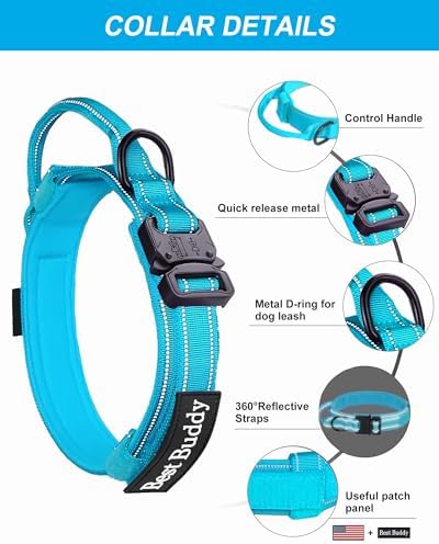 AUBELL Reflective Tactical Heavy Duty Dog Leash and Collar Set,Blue L