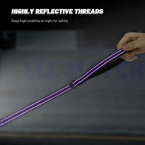 Roses&Poetry Reflective Dog Collar and Leash for Small Dogs, Puppy Collars with Leashes Set Gradient Violet, Adjustable Durable Pets for Extra Puppies（Violet-XS