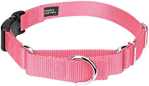 Martingale Dog Collar - Heavy Duty Nylon Adjustable Martingale Dog Collar with Plastic Buckle for Small Medium Large Breeds - 30+ Colors (3/4 Inch, Small, Pink)