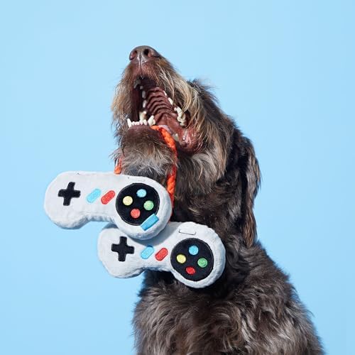 BarkBox Ate-Bit Controllers Dog Toy - for Dogs