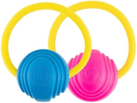 PROJECT HIVE ·PET COMPANY· Looped Ball 2 Pack-SM-Pink/Blue