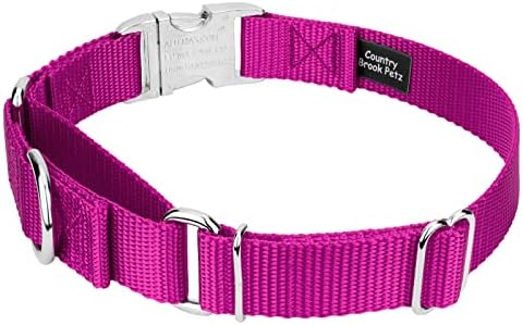 Country Brook Petz - Martingale Dog Collar - Heavy Duty Nylon Adjustable Martingale Dog Collar with Metal Buckle for Small Medium Large Breeds - 30+ Color Options (3/4 Inch, Small, Fuchsia)