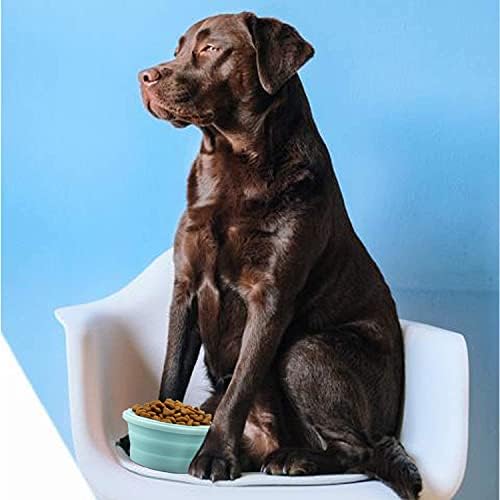 Luter 2 Pieces Collapsible Dog Bowls Silicone Food Water Travel Foldable Bowl with Lids Portable Expandable Pet Feeding Watering Cup Dish for Walking Kennels Camping 350ml (12x12x3cm) (Pink & Blue)