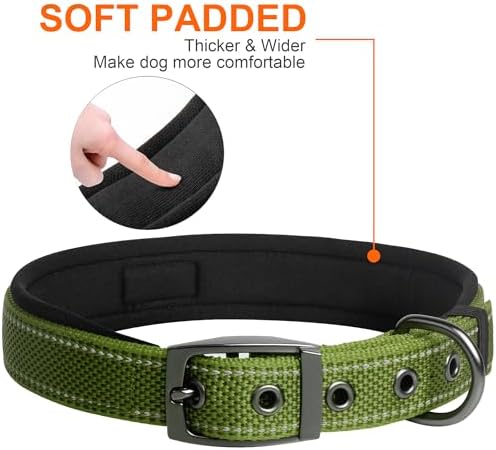 Fida Padded Dog Collar for Small Dogs with Metal Belt Buckle, Green