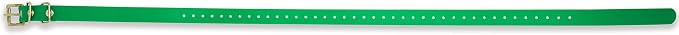 Educator Biothane Dog Collar, Waterproof, Odorproof, Metal Buckle and D Ring, Adjustable for Custom Fit, Cool and Comfortable, for Small, Medium, or Large Dogs, 3/4-Inch, Green
