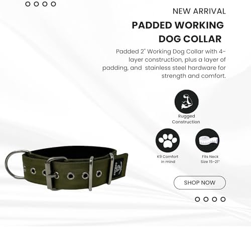 SparkDog Padded Working Dog Collar (Military Green, 2" Padded (16-21" Neck)