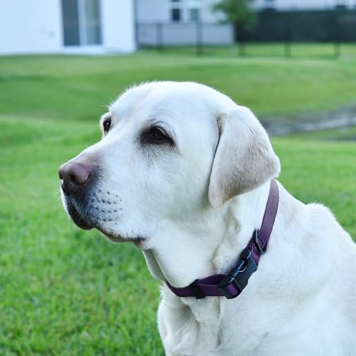 Dogline Biothane Waterproof Dog Collar with Quick Release Buckle Strong Coated Nylon Webbing with Odor- Proof for Easy Care Easy to Clean Fits Small Medium Large Dogs, Purple 1" W 15-23" L