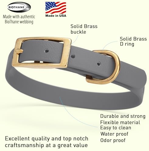 Viper Biothane Heavy Duty Waterproof Dog Collar Strong Coated Nylon Webbing w/Solid Brass Hardware Odor-Proof Easy to Clean High Performance Fits Small Medium or Large Dogs, Battleship Gray