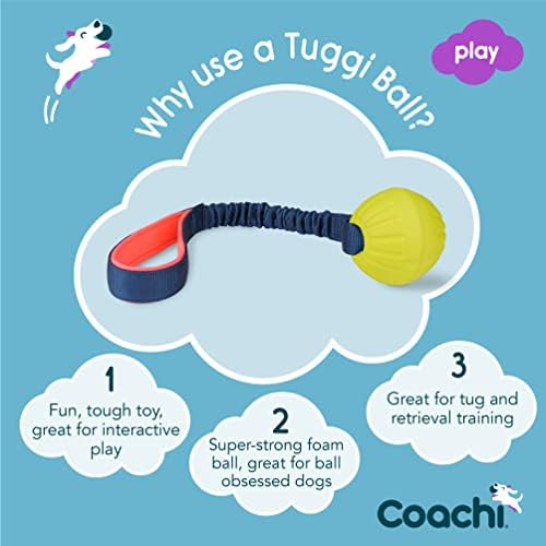 Coachi Tuggi Ball - Interactive Dog Toy for Tug of War & Play