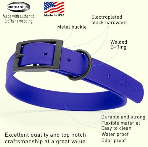 Dogline Biothane Waterproof Dog Collar Strong Coated Nylon Webbing with Black Hardware Odor- Proof for Easy Care Easy to Clean High Performance Fits Small Medium or Large Dogs, Blueberry Royal