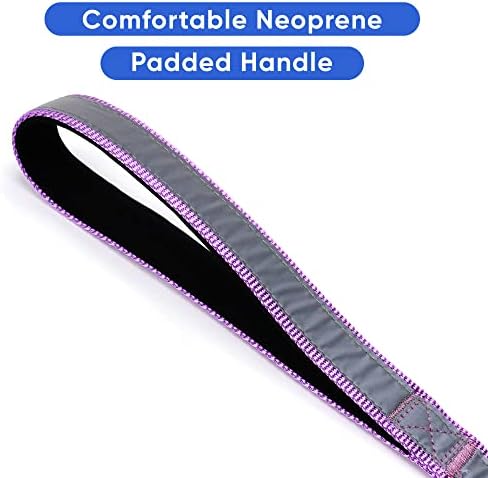 Pawtitas Orchid Dog Leash 6 ft Custom ID Lead for Dogs & Puppies Reflective Comfortable Padded Handle Embroidered Name & Phone Number