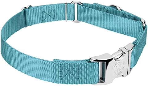 Country Brook Petz - Martingale Dog Collar - Heavy Duty Nylon Adjustable Martingale Dog Collar with Metal Buckle for Small Medium Large Breeds - 30+ Color Options (5/8 Inch, Extra Small, Ocean Blue)