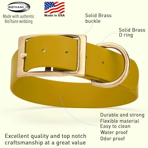 Viper Biothane Heavy Duty Waterproof Dog Collar Strong Coated Nylon Webbing w/Solid Brass Hardware Odor-Proof Easy to Clean High Performance Fits Small Medium or Large Dogs, Treasure Gold