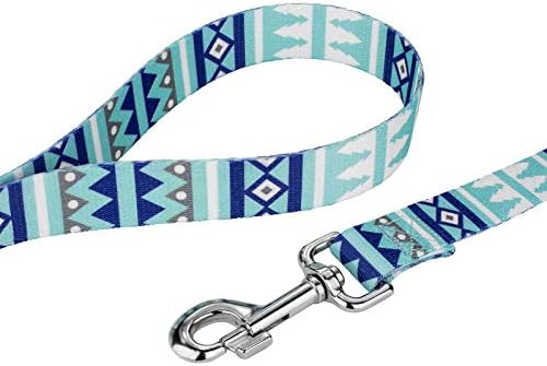 Country Brook Petz - Snowy Pines Everyday Dog Leash - Christmas Collection Featuring Festive Designs (6 Foot, 5/8 Inch Wide)