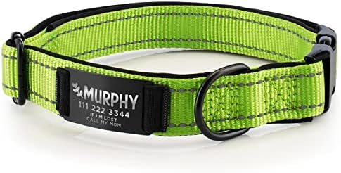 Improved - Personalized Dog Collars w/Engraved Metal ID Nameplate for Name & 3 Lines Text - Custom 20 Icons, 4 Adjustable Sizes, 10 Fonts, Dog Collar for Large Dogs, Dog ID Tag Personalized, Green