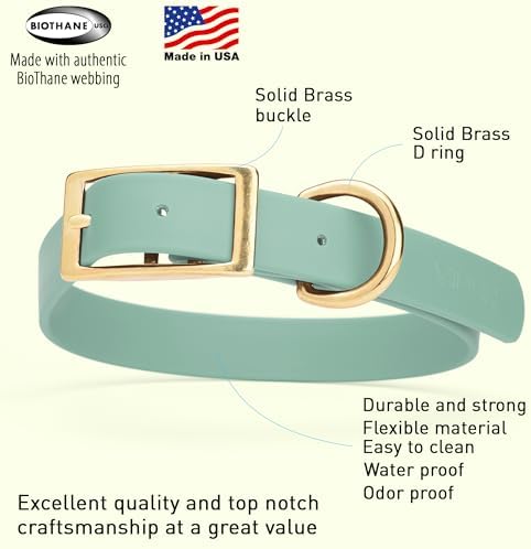 Viper Biothane Heavy Duty Waterproof Dog Collar Strong Coated Nylon Webbing w/Solid Brass Hardware Odor-Proof Easy to Clean High Performance Fits Small Medium or Large Dogs, Sage Green