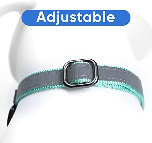 Pawtitas Teal Reflective Martingale Dog Collar, Large