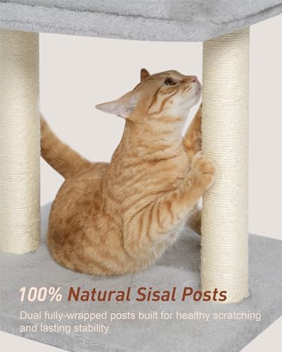 19" Small Cat Tree with Scratching Post for Indoor Cats with Perch